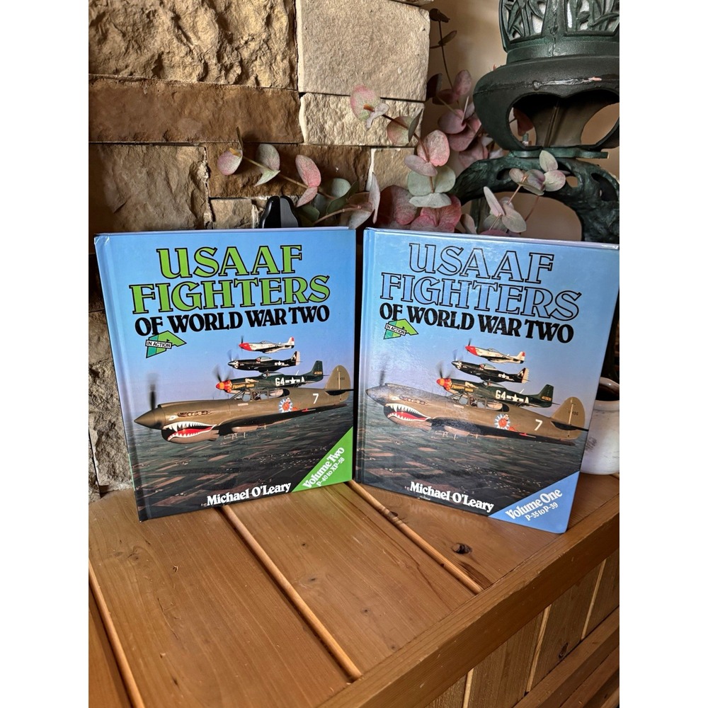 USAAF Fighters of World War II in Action Hardcover Set Vol 1 & 2 Michael O'Leary